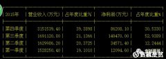 雪球股友：比亚迪为何值得投资 因巴菲特买入？